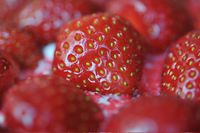 Logo Erdbeeren